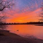 lizkerubo Profile Picture