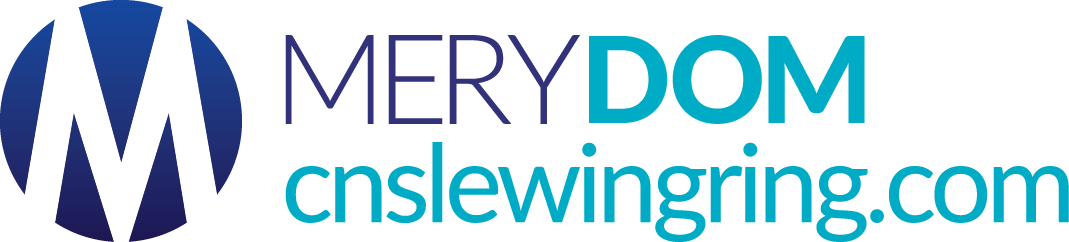 China Slewing Bearing for New Energy Suppliers, Manufactures, Factory - High Quality Slewing Bearing for New Energy Wholesale - MERYDOM