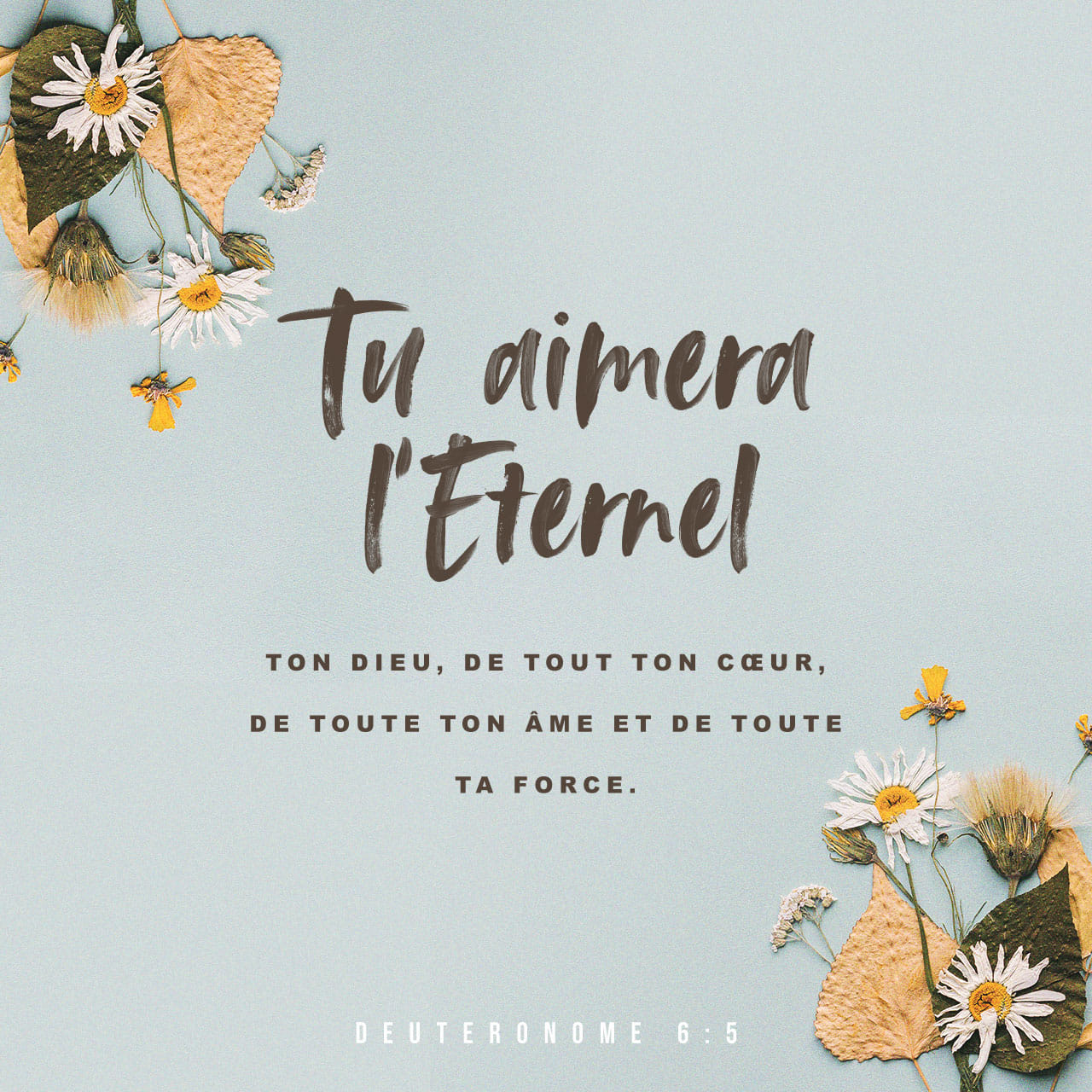 Deutéronome 6:5 Tu dois aimer le SEIGNEUR ton Dieu de tout ton cœur, de tout ton être et de toute ta force. | Parole de Vie 2017 (PDV2017) | Download The Bible App Now