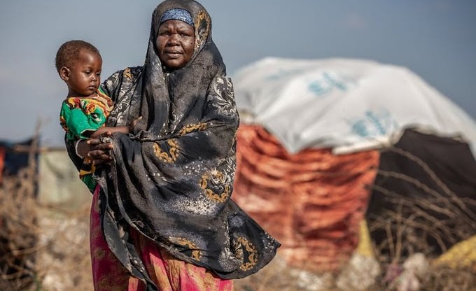 Tanzania: How One of the World's Largest Refugee Camps Achieved Zero Maternal Deaths in 2022 - HCNTimes.com