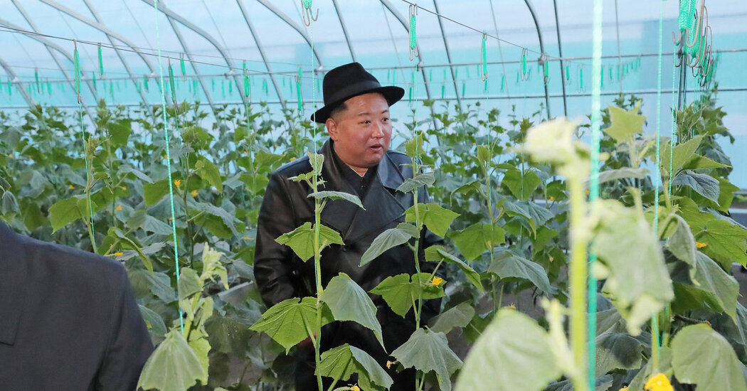 To Combat Food Shortages, North Korea Deploys the Military - HCNTimes.com