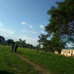 Alfred Dar Profile Picture