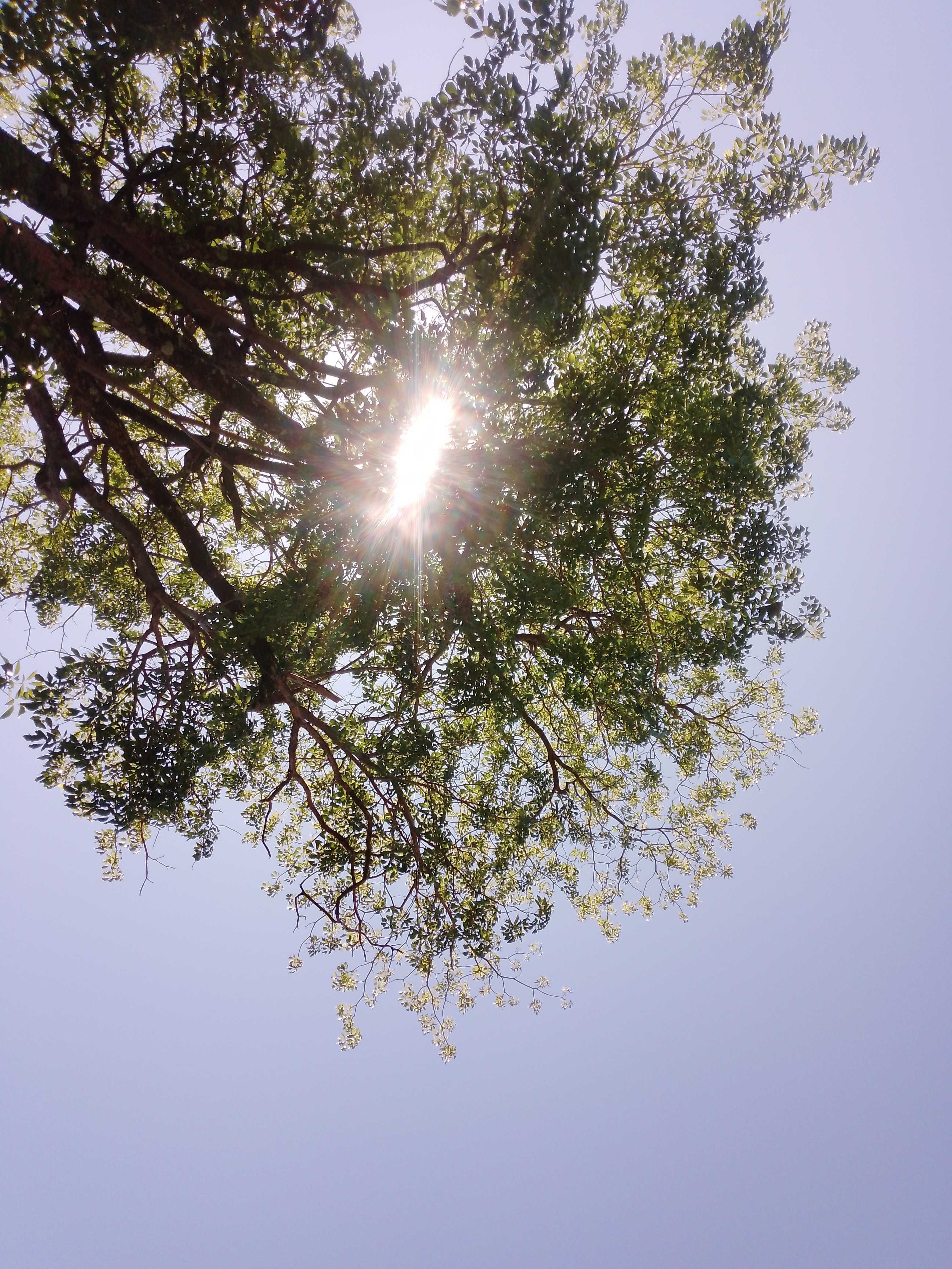 Steinem Favour Profile Picture