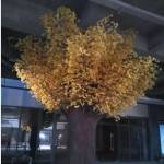 sunqian02109990 Profile Picture