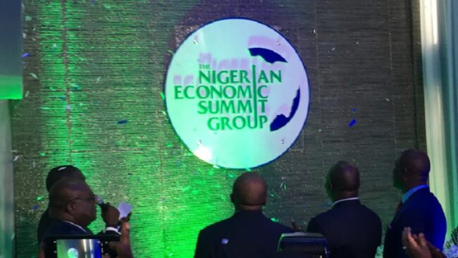 NESG: Nigeria’s economy likely to grow stronger for rest of 2023 - HCNTimes.com