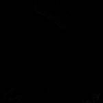 Miss Morpho Profile Picture