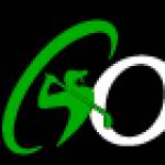 houston golflesson Profile Picture