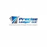 Precise Ledger LLC Profile Picture