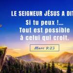 SELOM Profile Picture