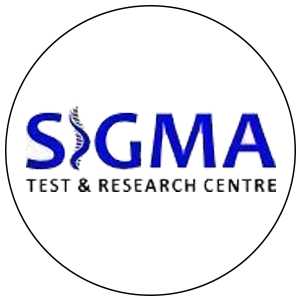 Sigma Test Profile Picture