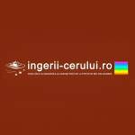 ingerii cerului Profile Picture