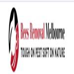 bees removal Profile Picture