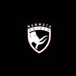 Mammoth Shield Profile Picture