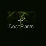 Deco Plants Profile Picture
