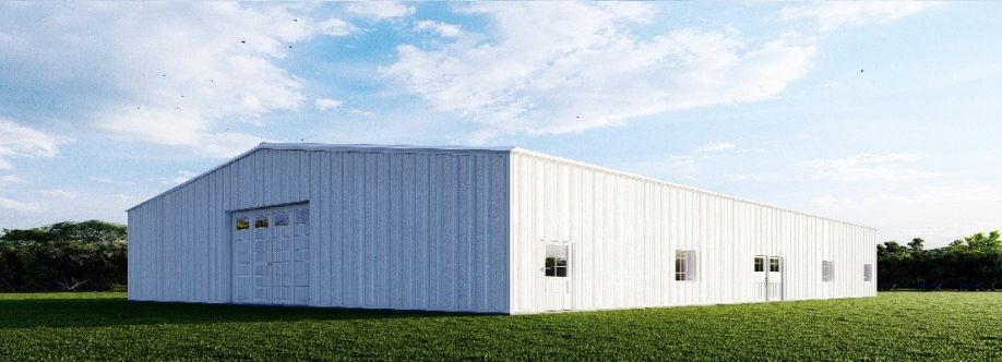 Steelkitz Cover Image