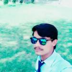 Daniel Lisa Profile Picture