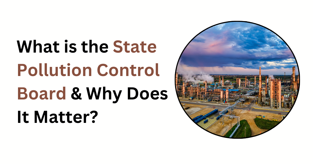 What is the State Pollution Control Board & Why Does It Matter? | by SomyaCorpseed | Mar, 2025 | Medium