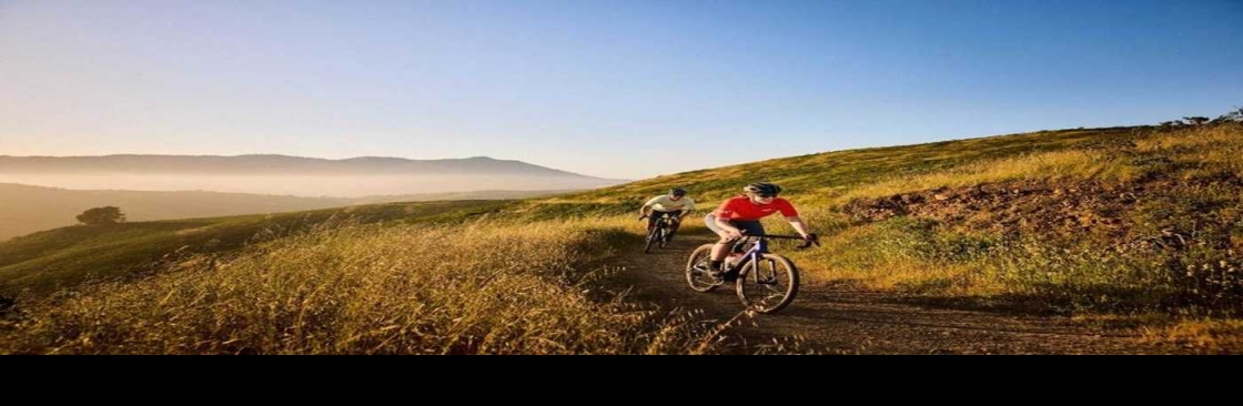 Bicicletas Sanchis Cover Image