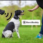 BarxBuddy Reviews Profile Picture