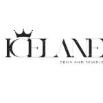 THE ICELANE Profile Picture