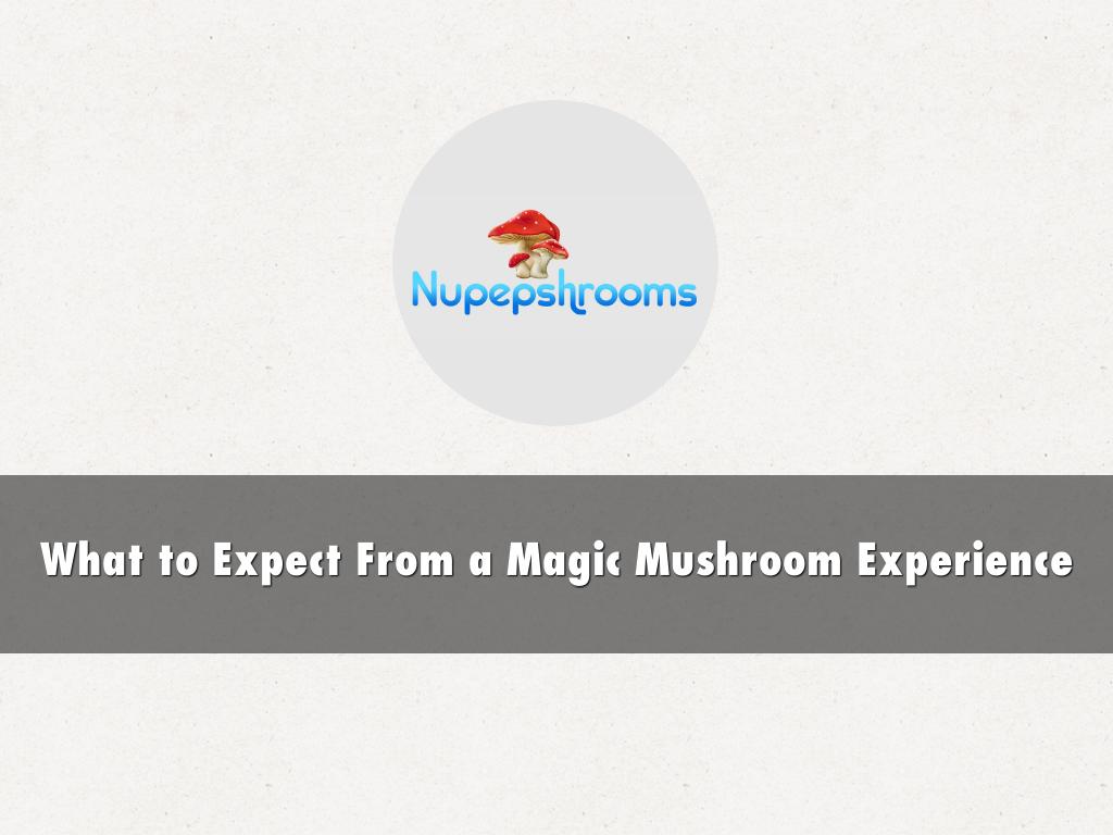 What to Expect From a Magic Mushroom Experience Deck