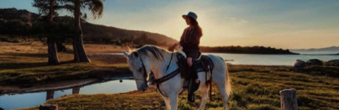 Heidi Klum Cover Image