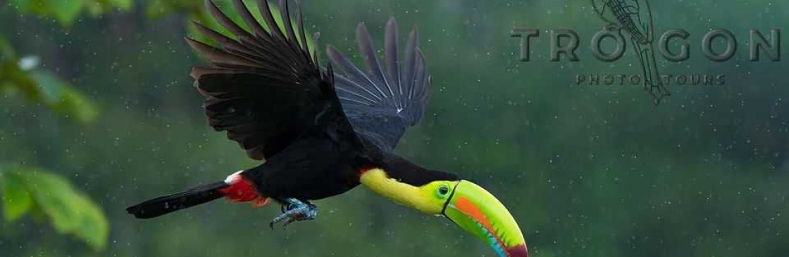 Nate Chappell Cover Image