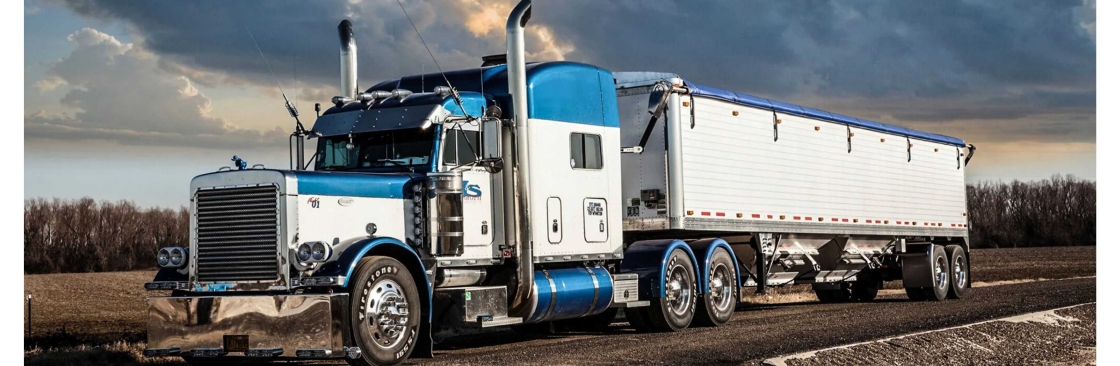 Best Tarps Cover Image