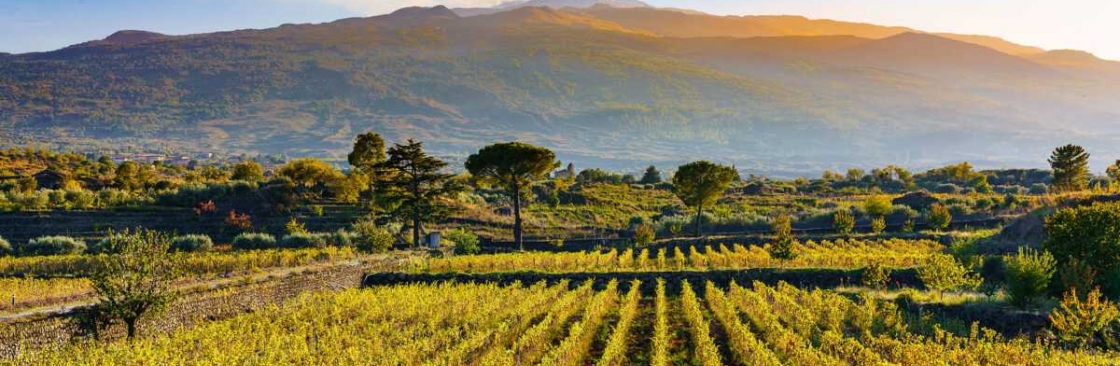 James Morgan Cover Image