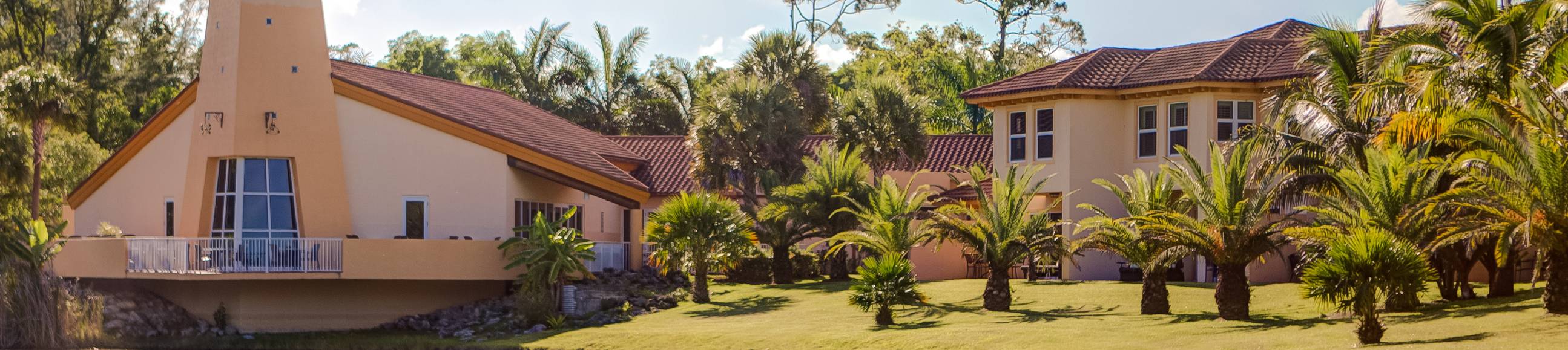 From Digestion to Detox: How Enzymes Are Central to Your Health