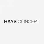 Haysconcept Profile Picture