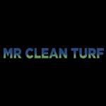 Mr Clean Turf Profile Picture