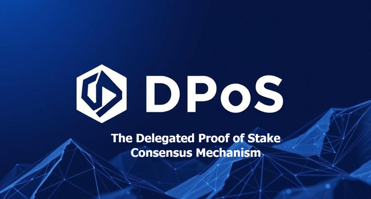 DPoS: The Delegated Proof of Stake Consensus Mechanism