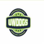 UW DOGS Profile Picture