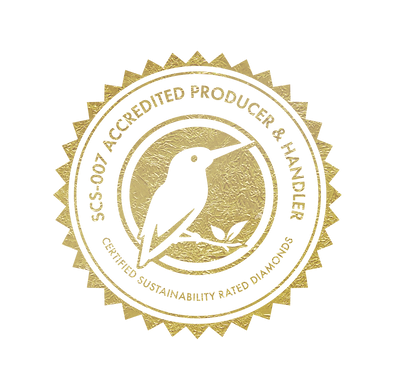 HPHT Diamonds | HPHT Diamond Manufacturer in India & USA