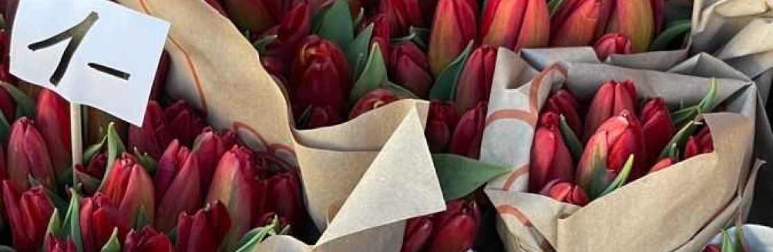 Kiara Lewis Cover Image