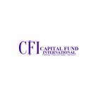 CAPITAL FUND INTERNATIONAL LIMITED Profile Picture