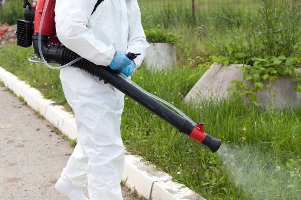 How to Enjoy Backyard BBQs Again With Organic Mosquito Control?