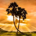 hasenshowerdrain hasenshowerdrain Profile Picture