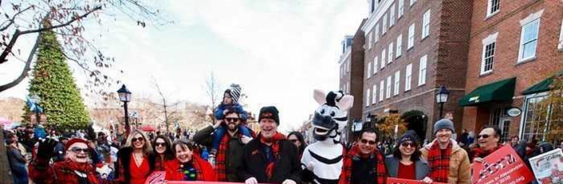 The Zebra Press Cover Image