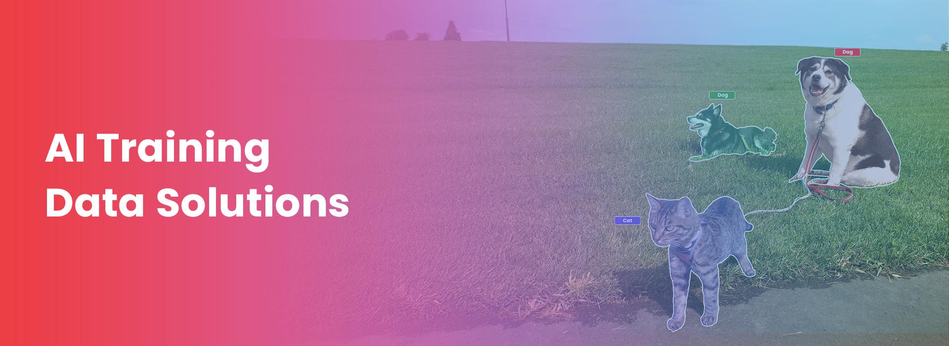 AI Training Data Solutions: What’s Changing in 2025? - Macgence