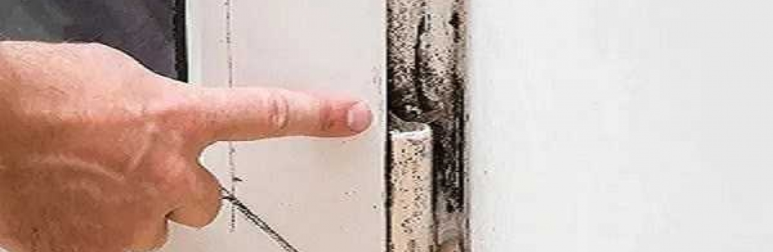 Mould Doctors Cover Image