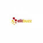 ElitBuzz Technologies Ltd Profile Picture