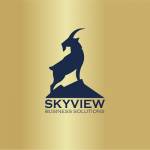 Business Consultation Services in Indiana by Skyview Business Solutions Profile Picture