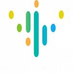 WordPress WebDesign SEO Profile Picture