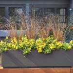 Darnell Johnson Profile Picture