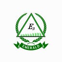 Maintaining sound systems: An in-depth examination of pipeline integrity management | by Emerald Energy & Exploration Land Co. | Jun, 2025 | Medium