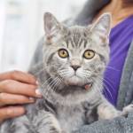 Man mboa Profile Picture