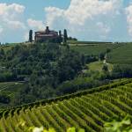 Robert Anthony Profile Picture