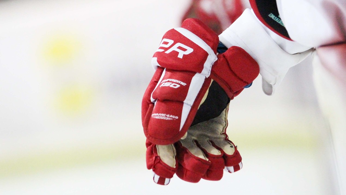 The Ultimate Guide to Getting the Right Ice Hockey Gloves – Voices of everything